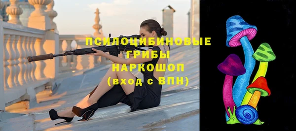 прущие крисы Богданович