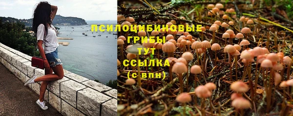 прущие крисы Богданович