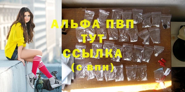 СК Богородицк