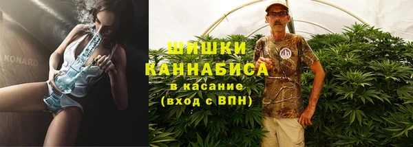 СК Богородицк