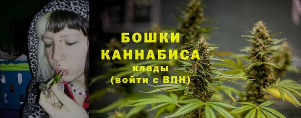 СК Богородицк