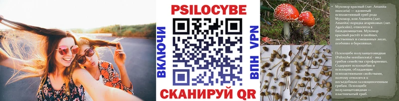 Псилоцибиновые грибы мухоморы  наркотики  Дубовка 